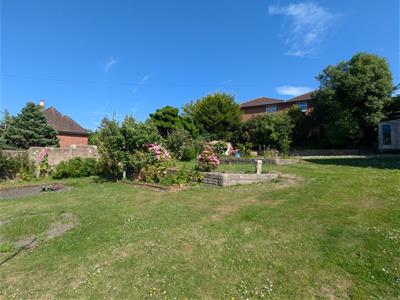 Picture 33